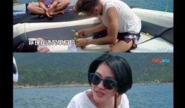 换头宝贝爆料视频大全,独家爆料视频大全深度解析